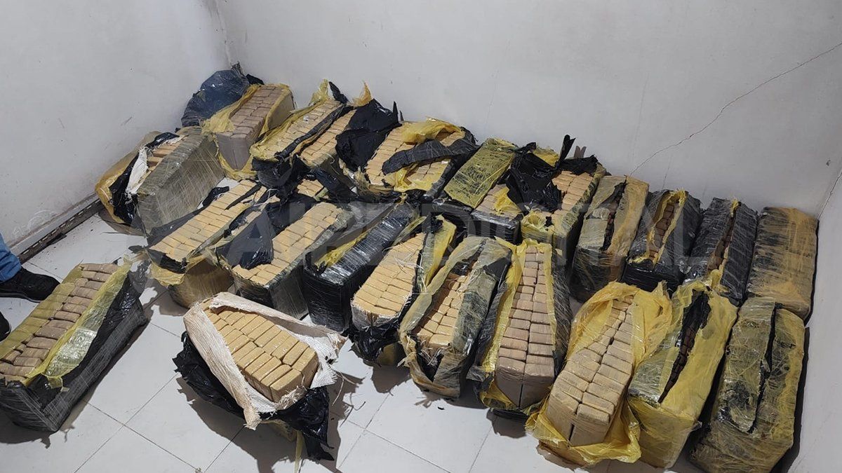 La policía secuestró al menos 700 bloques de marihuana embalados en cinta papel ocre. La policía secuestró al menos 700 bloques de marihuana embalados en cinta papel ocre.