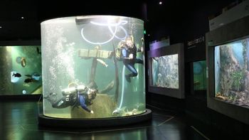 El Acuario del Río Paraná, uno de los imperdibles de Rosario, tuvo un 2025 con crecimiento de visitantes. El Acuario del Río Paraná, uno de los imperdibles de Rosario, tuvo un 2025 con crecimiento de visitantes.