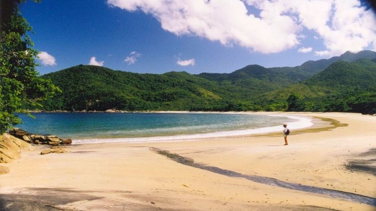 Praia Dois Rios combina selva