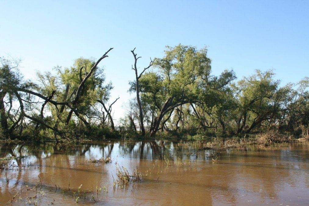 Jaaukanigás es un humedal ubicado en el río Paraná medio