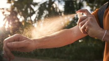 Prevención por Dengue: recomendaciones para viajeros por el fin de semana largo