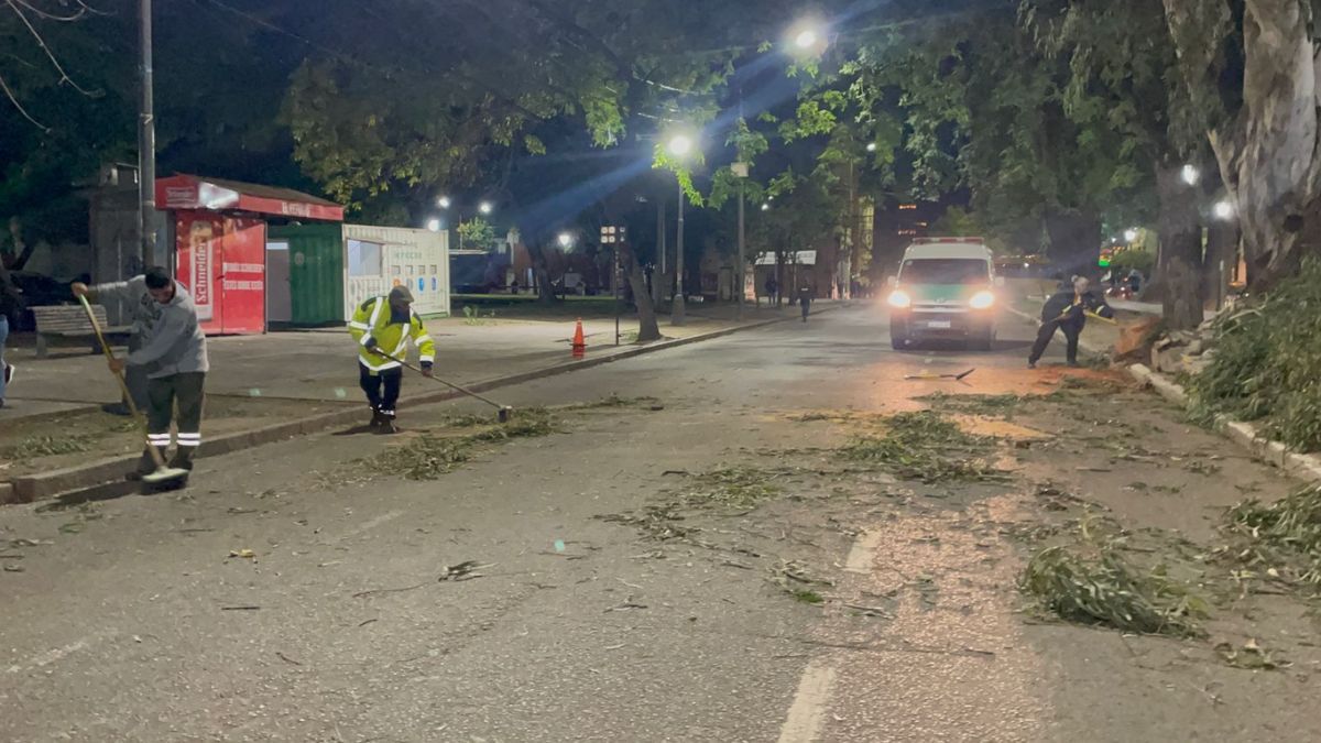 Personal de la Municipalidad, trabajó en la limpieza de la calzada. Personal de la Municipalidad, trabajó en la limpieza de la calzada.