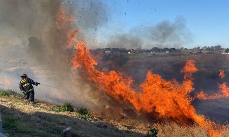 Bomberos Zapadores trabajaron en la Autopista Santa Fe-Rosario, donde se produjo un incendio de pastizales. Bomberos Zapadores trabajaron en la Autopista Santa Fe-Rosario, donde se produjo un incendio de pastizales.