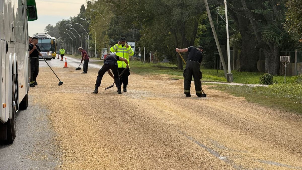 El derrame de soja ocupa al menos 400 metros de la Ruta 11 en Sauce Viejo. Bomberos y policías trabajan para retirar la carga y liberar el tránsito.