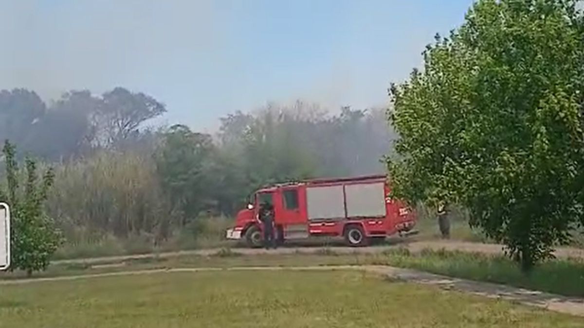 El fuego se desató este domingo después de las 14 en inmediaciones de Aristóbulo del Valle y Neuquén