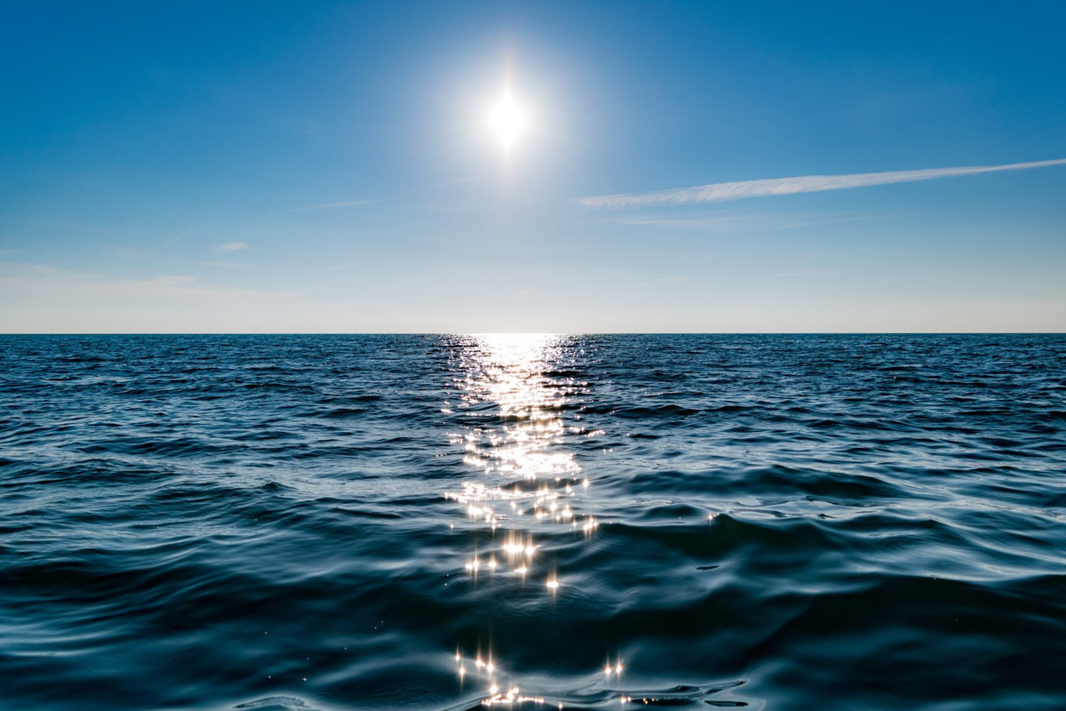 El cambio climático está resultando letal para diversas especies marinas, alterando sus patrones de migración y supervivencia. El cambio climático está resultando letal para diversas especies marinas, alterando sus patrones de migración y supervivencia.