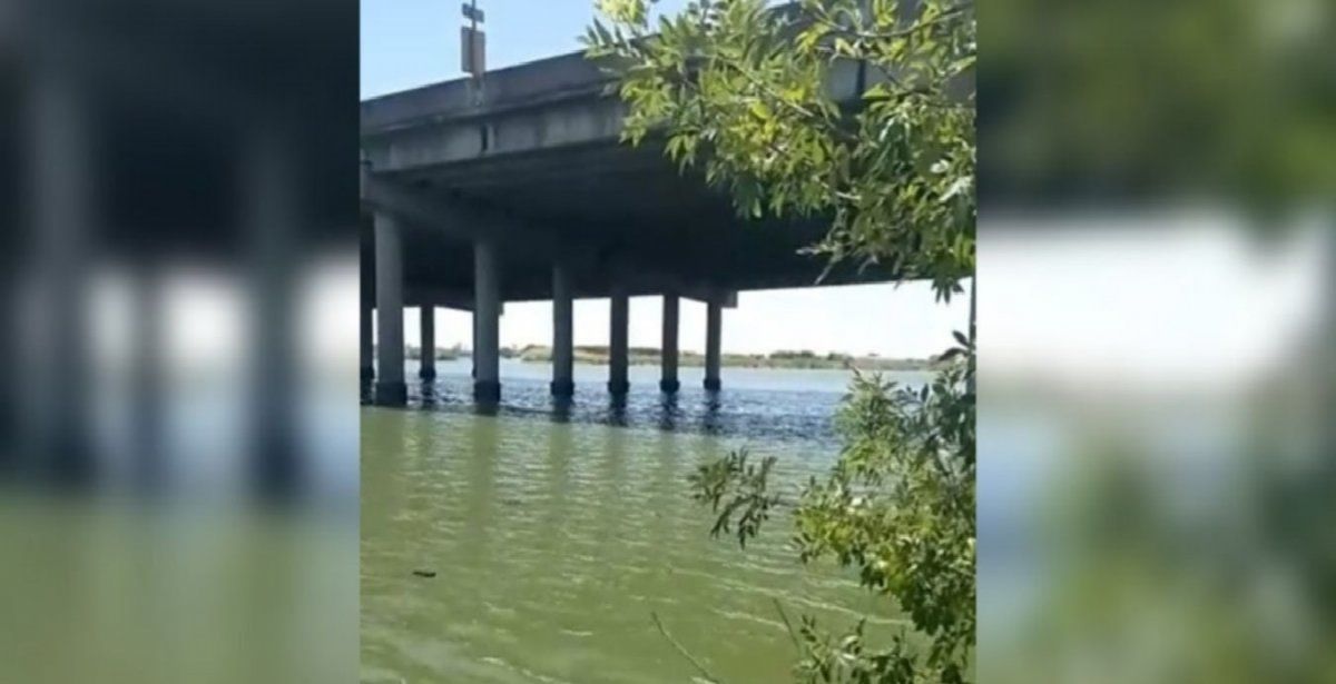 Hombre nutria en La Plata: cruzó una laguna nadando para evitar ser detenido