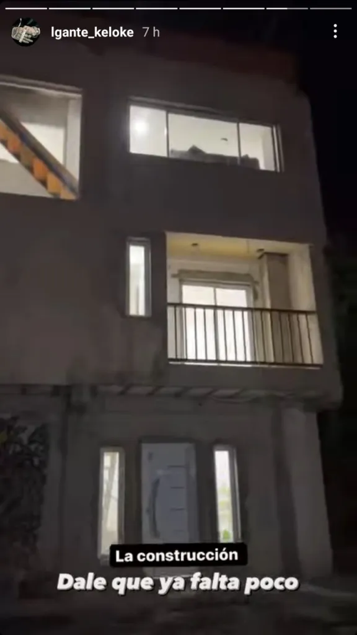 Construcción de la casa de L-Gante