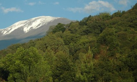 Desesperada búsqueda en Jujuy: una pareja se perdió mientras realizaba senderismo en el Cerro Azul Desesperada búsqueda en Jujuy: una pareja se perdió mientras realizaba senderismo en el Cerro Azul