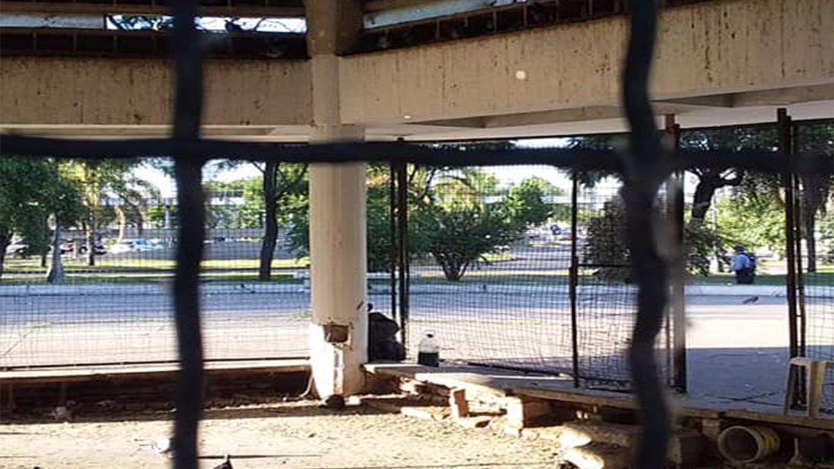 Comenzaron las obras en El Palomar: sacaron 800 kilos de excremento y plumas de aves