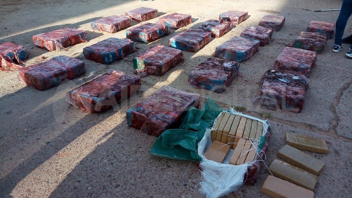 Acondicionada. Así se encontraba la marihuana que iba transportada en el camión. 