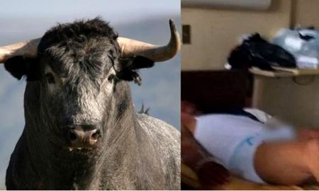 tomo viagra para toros y tuvo que ser operado de urgencia tomo viagra para toros y tuvo que ser operado de urgencia