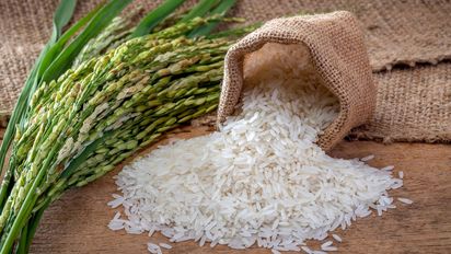 El método oriental para cocinar arroz perfecto: el truco simple que evita errores