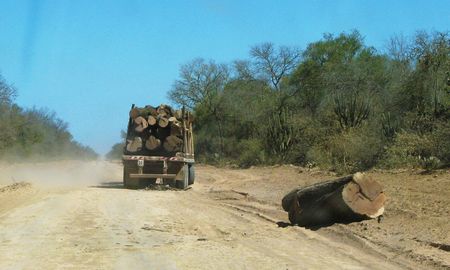 Aunque la Argentina tiene una Ley de Bosques, la mayoría de los desmontes son ilegales: todos los que se realizaron en Chaco desde el año 2020 fueron ilegales. Aunque la Argentina tiene una Ley de Bosques, la mayoría de los desmontes son ilegales: todos los que se realizaron en Chaco desde el año 2020 fueron ilegales.