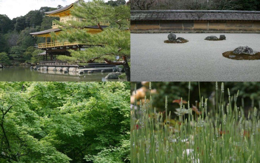 Cuáles son los fondos de pantalla que habría creado Steve Jobs.