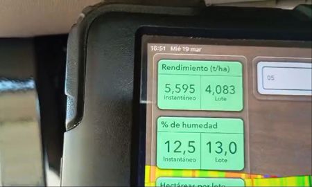 “Medio sancochaditas, un poco de yuyo… y va la tipa”, relata Ezequiel Gentili, con cierta sorpresa por los rindes. “Medio sancochaditas, un poco de yuyo… y va la tipa”, relata Ezequiel Gentili, con cierta sorpresa por los rindes.