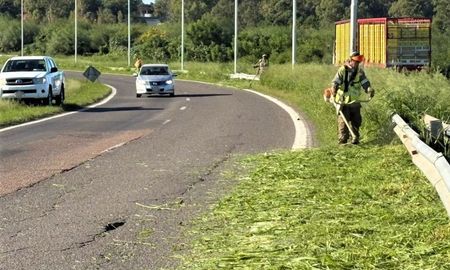 Personal de Vialidad Nacional realiza el corte de pasto manual en la Circunvalación Oeste. Personal de Vialidad Nacional realiza el corte de pasto manual en la Circunvalación Oeste.