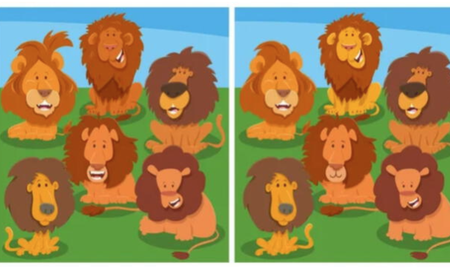RETO VISUAL nivel PRO: solo el 2% encontró las 5 diferencias ¡en 7 segundos! RETO VISUAL nivel PRO: solo el 2% encontró las 5 diferencias ¡en 7 segundos!