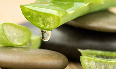 La máscara capilar de aloe vera y té verde ayuda a tonificar el cabello y terminar con la caspa. La máscara capilar de aloe vera y té verde ayuda a tonificar el cabello y terminar con la caspa.