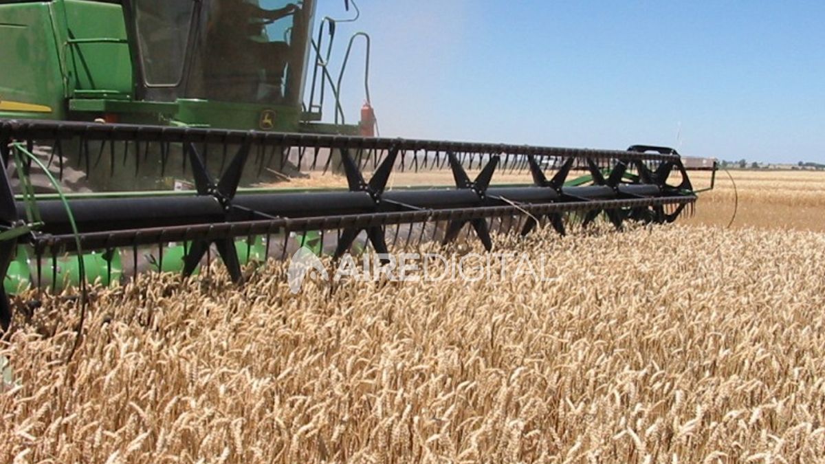 Para productores santafesinos, las retenciones son un saqueo