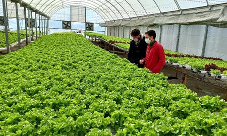 El programa de financiamiento prevé tanto inversión en infraestructura y tecnología, como en insumos necesarios para la producción de cultivos. El programa de financiamiento prevé tanto inversión en infraestructura y tecnología, como en insumos necesarios para la producción de cultivos.