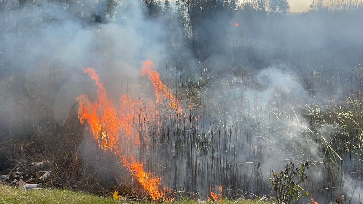 Se desconoce cómo fue que ardió en llamas. Se desconoce cómo fue que ardió en llamas.