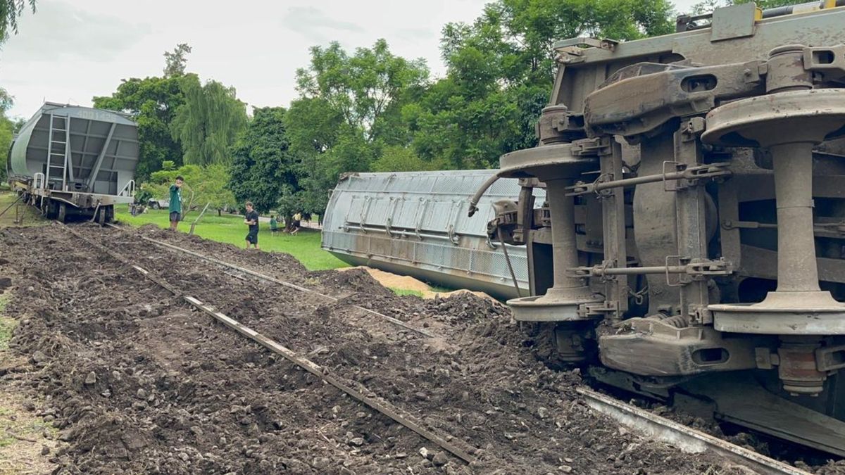 El Tren Belgrano Cargas descarriló en la zona de Vélez Sarsfield y Gorostiaga