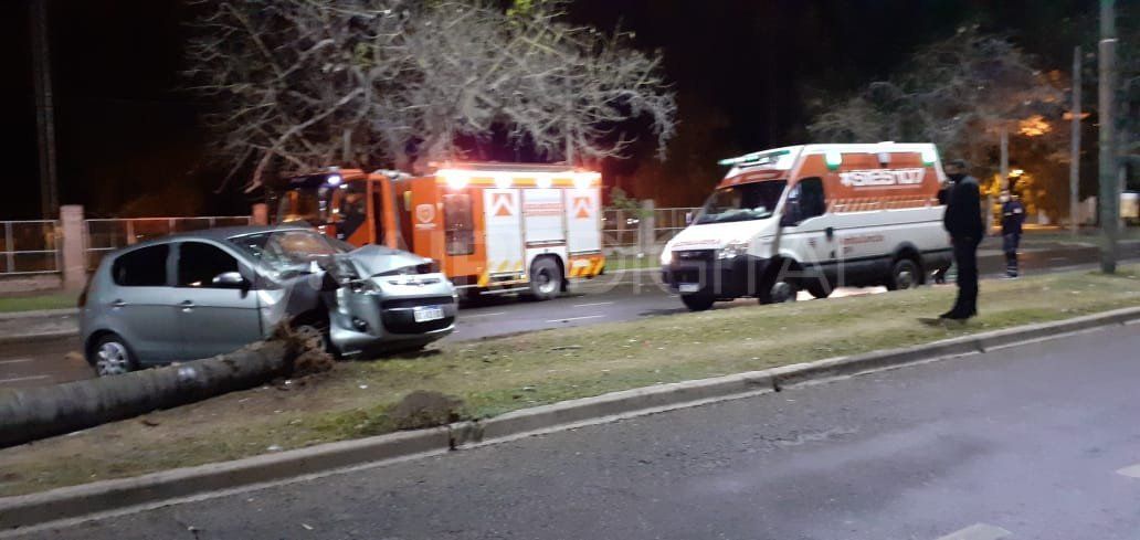 El impacto fue tal que el auto derribó la palmera.