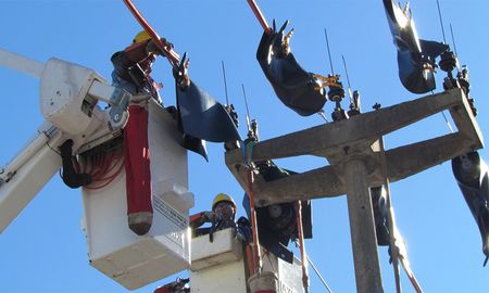 Uno de los transformadores de la estación centro quedó fuera de servicio y dejó sin luz a cientos de usuarios del centro y norte de la ciudad de Santa Fe. Uno de los transformadores de la estación centro quedó fuera de servicio y dejó sin luz a cientos de usuarios del centro y norte de la ciudad de Santa Fe.
