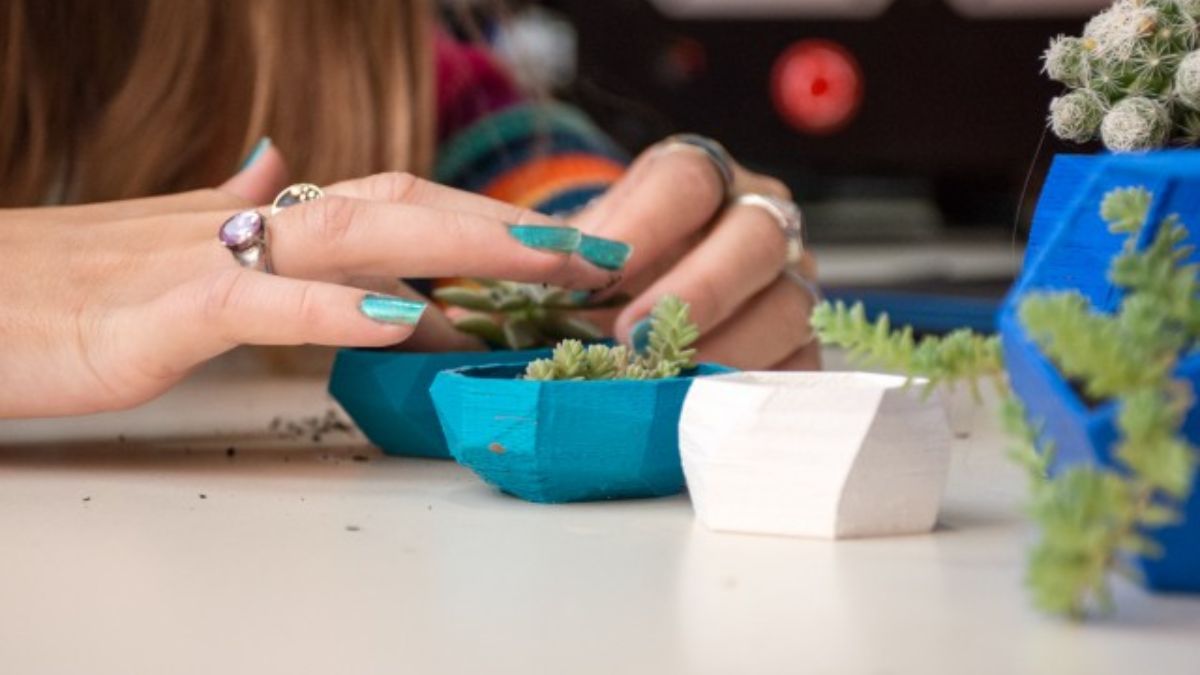 En su columna semanal Habituate con Titi Barletta