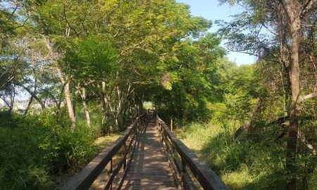 Un recorrido que revela la biodiversidad ribereña del Río Dulce, pieza clave del paisaje santiagueño. Un recorrido que revela la biodiversidad ribereña del Río Dulce, pieza clave del paisaje santiagueño.