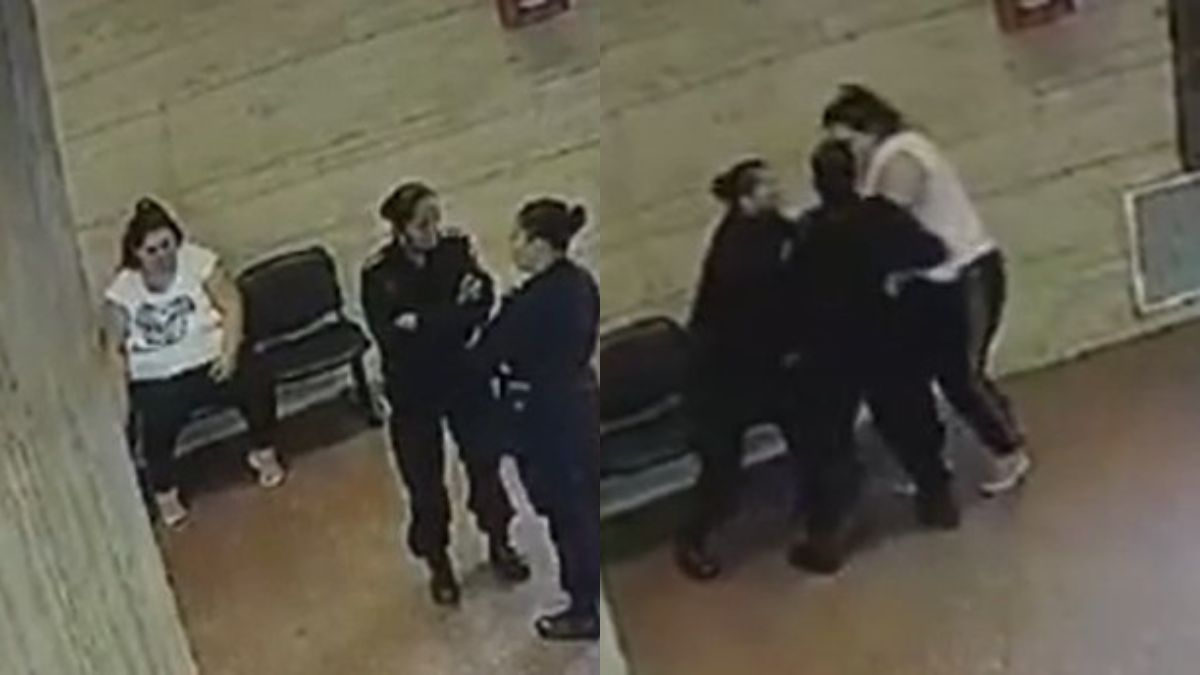 Una mujer de aproximadamente 30 años intentó robarle el arma a dos policías y luego fue internada en un hospital psiquiátrico.