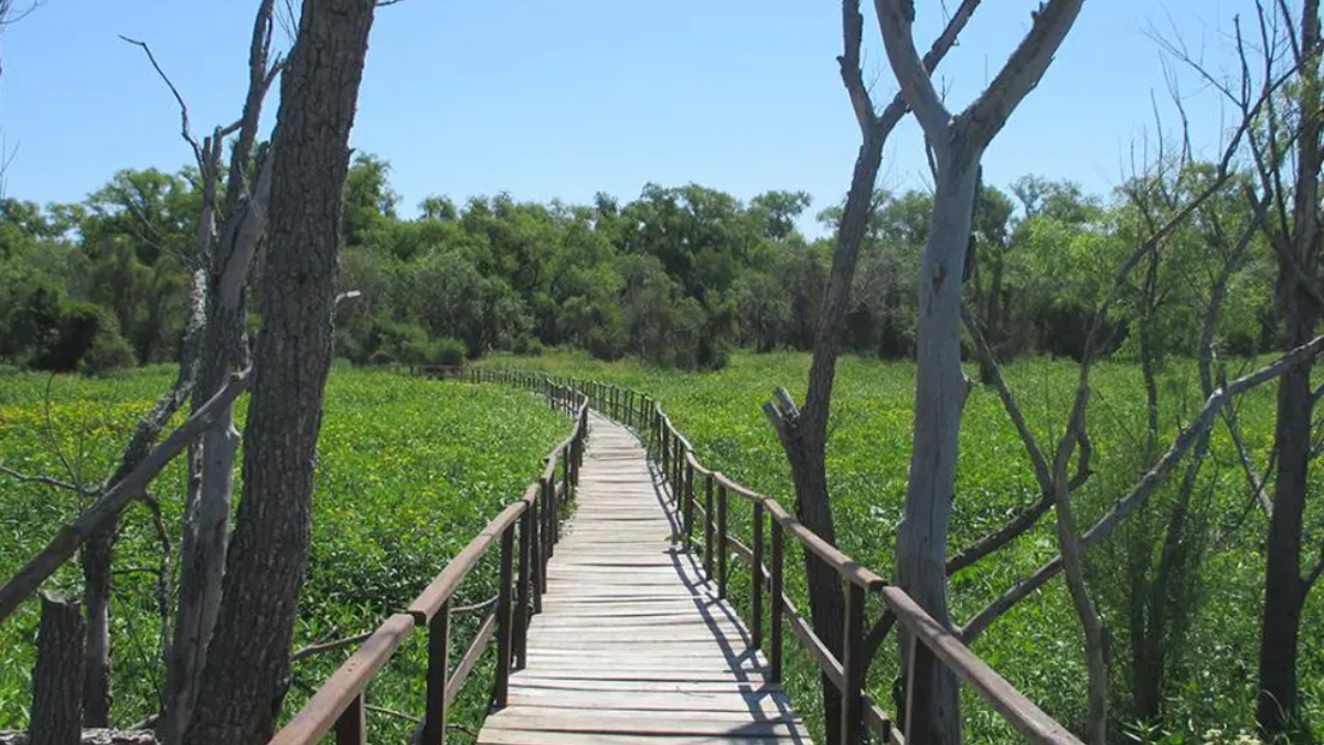 El Parque Nacional Pre-Delta del Paraná sorprende a todos aquellos que deciden visitarlo.