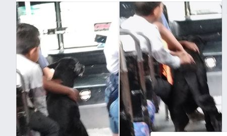 un perro corrio un colectivo varias cuadras y el chofer dejo que suba para viajar con unos ninos un perro corrio un colectivo varias cuadras y el chofer dejo que suba para viajar con unos ninos