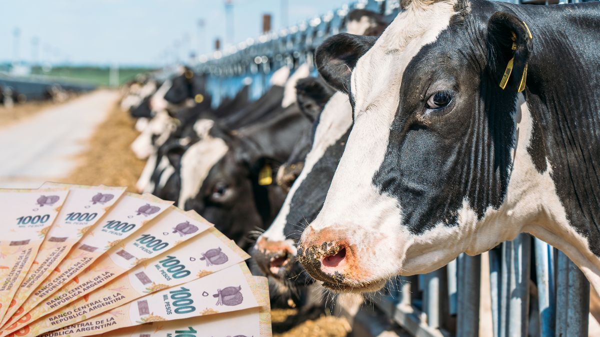 Créditos a tasa 0% para tambos de Santa Fe.