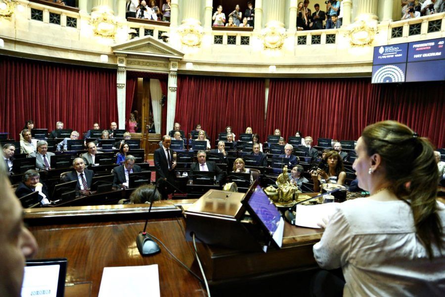 El Senado debate la prórroga de la ley de Emergencia Alimentaria, ya aprobada por Diputados