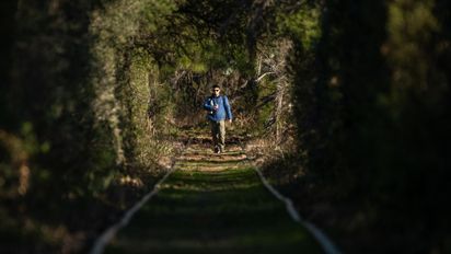 Escapada a un pueblo de Entre Ríos que es un refugio de palmeras y aventura