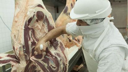 Tensión en el mercado de la carne: faena elevada, consumo firme y frigoríficos en problemas
