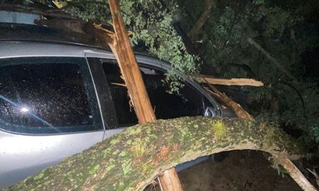 El vehículo quedó aplastado por el árbol que cayó en Colastiné Norte. El vehículo quedó aplastado por el árbol que cayó en Colastiné Norte.