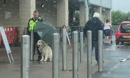 Un guardia de seguridad conmueve en las redes tras proteger a un perro de la lluvia Un guardia de seguridad conmueve en las redes tras proteger a un perro de la lluvia