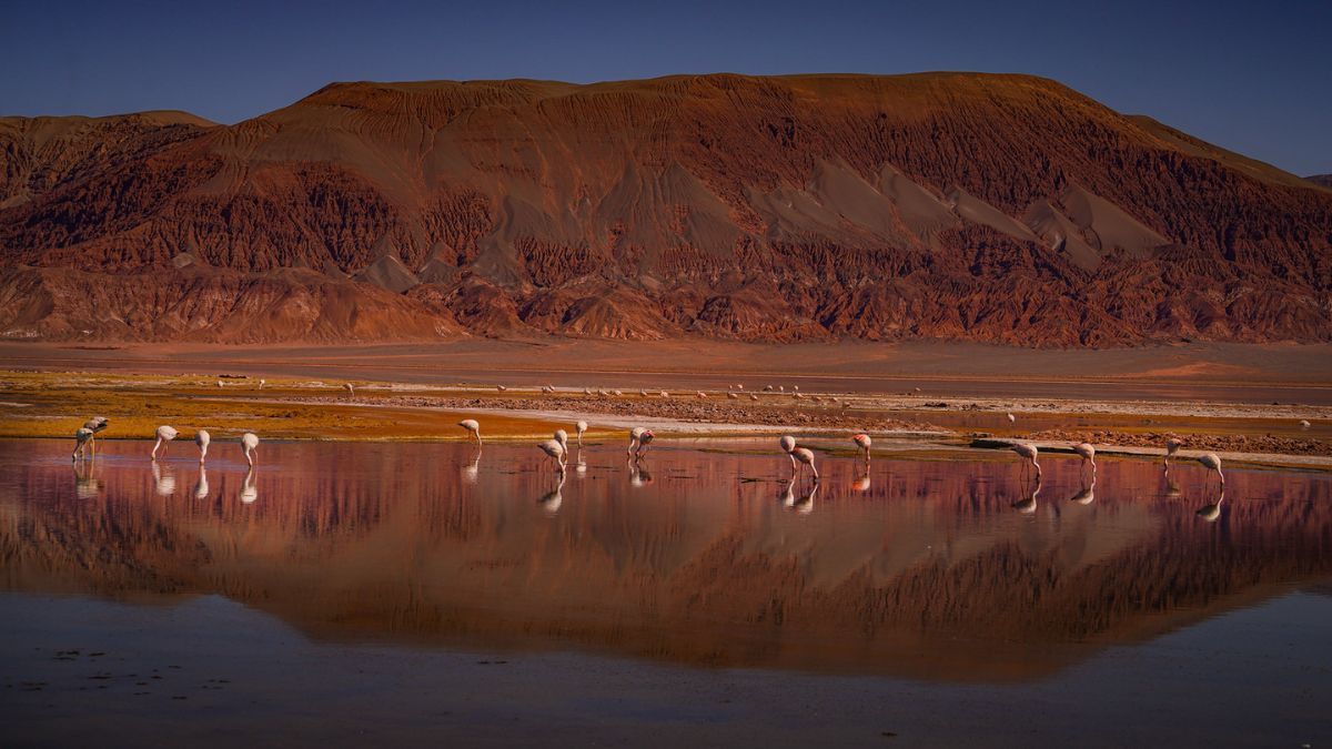 La Laguna Carachi Pampa atrae a cientos de turistas todos los años por sus increíbles paisajes y atractivos.