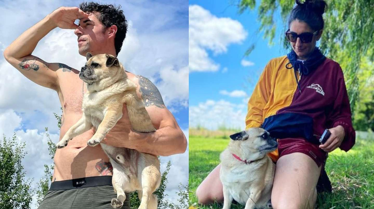 El perrito de Charo L&oacute;pez que apareci&oacute; en el canje de Esteban Lamothe.&nbsp;