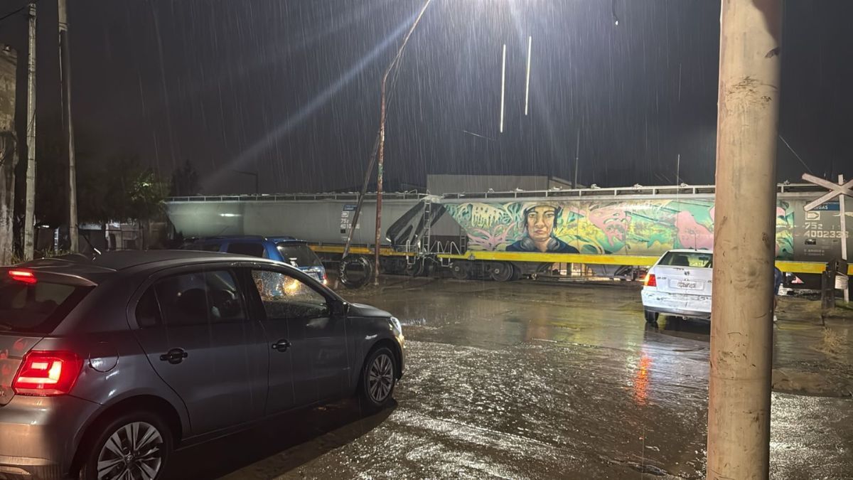El tren también generó complicaciones en otros cruces ferroviarios de la zona.&nbsp;