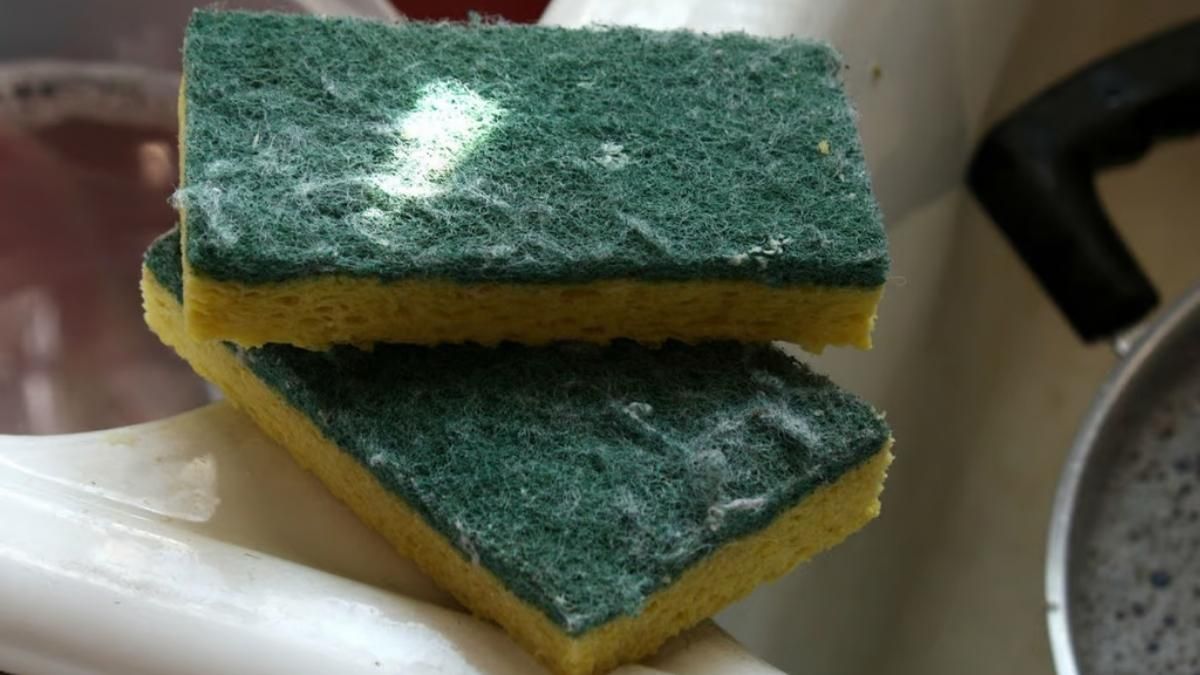 Un objeto cotidiano que puede convertirse en un foco de bacterias.