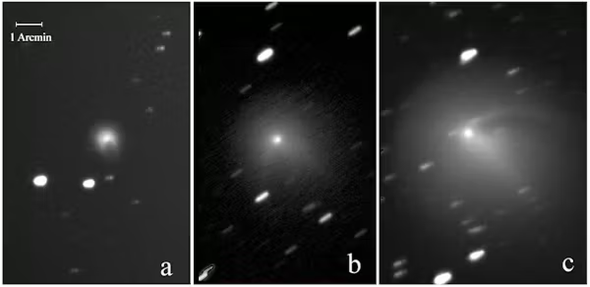 Imágenes del cometa 12P/Pons-Brooks obtenidas el a) 23 de julio, b) 9 Noviembre y c) 23 de noviembre de 2023. Todas obtenidas por Albert Sánchez desde el Observatori de Gualba, Barcelona empleando un telescopio Schmidt Cassegrain Meade de 35,6 cm de apertura y filtro Cousin de banda R. En las dos últimas imágenes se aprecian varios chorros que se desprenden del cometa. Fijándonos en los dos chorros principales, se evidencia la rotación del núcleo. Albert Sánchez/MPC442. The Conversation. Imágenes del cometa 12P/Pons-Brooks obtenidas el a) 23 de julio, b) 9 Noviembre y c) 23 de noviembre de 2023. Todas obtenidas por Albert Sánchez desde el Observatori de Gualba, Barcelona empleando un telescopio Schmidt Cassegrain Meade de 35,6 cm de apertura y filtro Cousin de banda R. En las dos últimas imágenes se aprecian varios chorros que se desprenden del cometa. Fijándonos en los dos chorros principales, se evidencia la rotación del núcleo. Albert Sánchez/MPC442. The Conversation.
