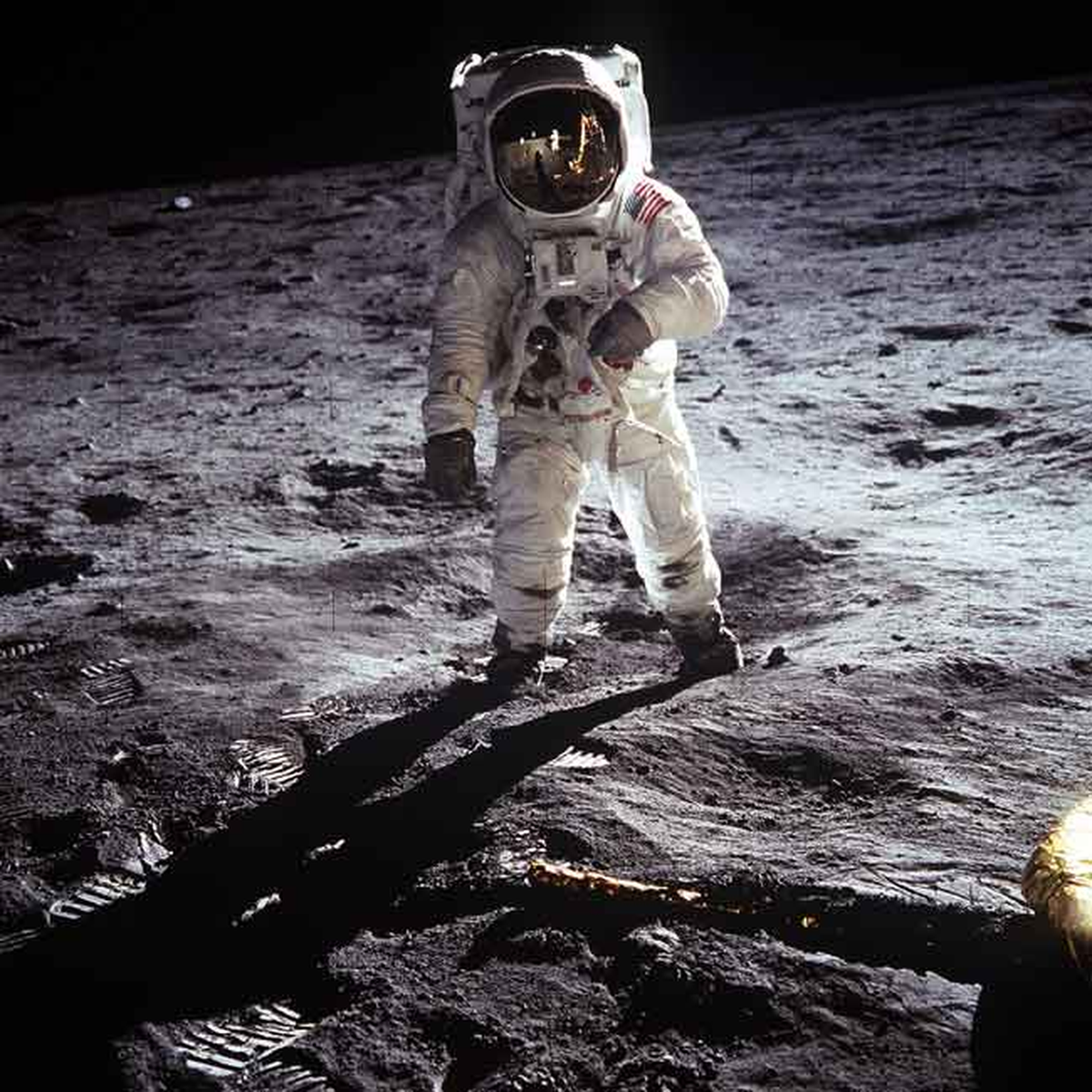 Los astronautas Buzz Aldrin y Neil Armstrong fueron los primeros hombres en pisar la luna.
