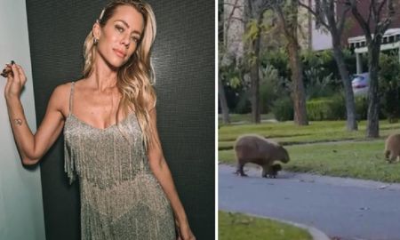 Nicole Neumann salió a defender a los carpinchos de Nordelta: Los invasores somos nosotros Nicole Neumann salió a defender a los carpinchos de Nordelta: Los invasores somos nosotros