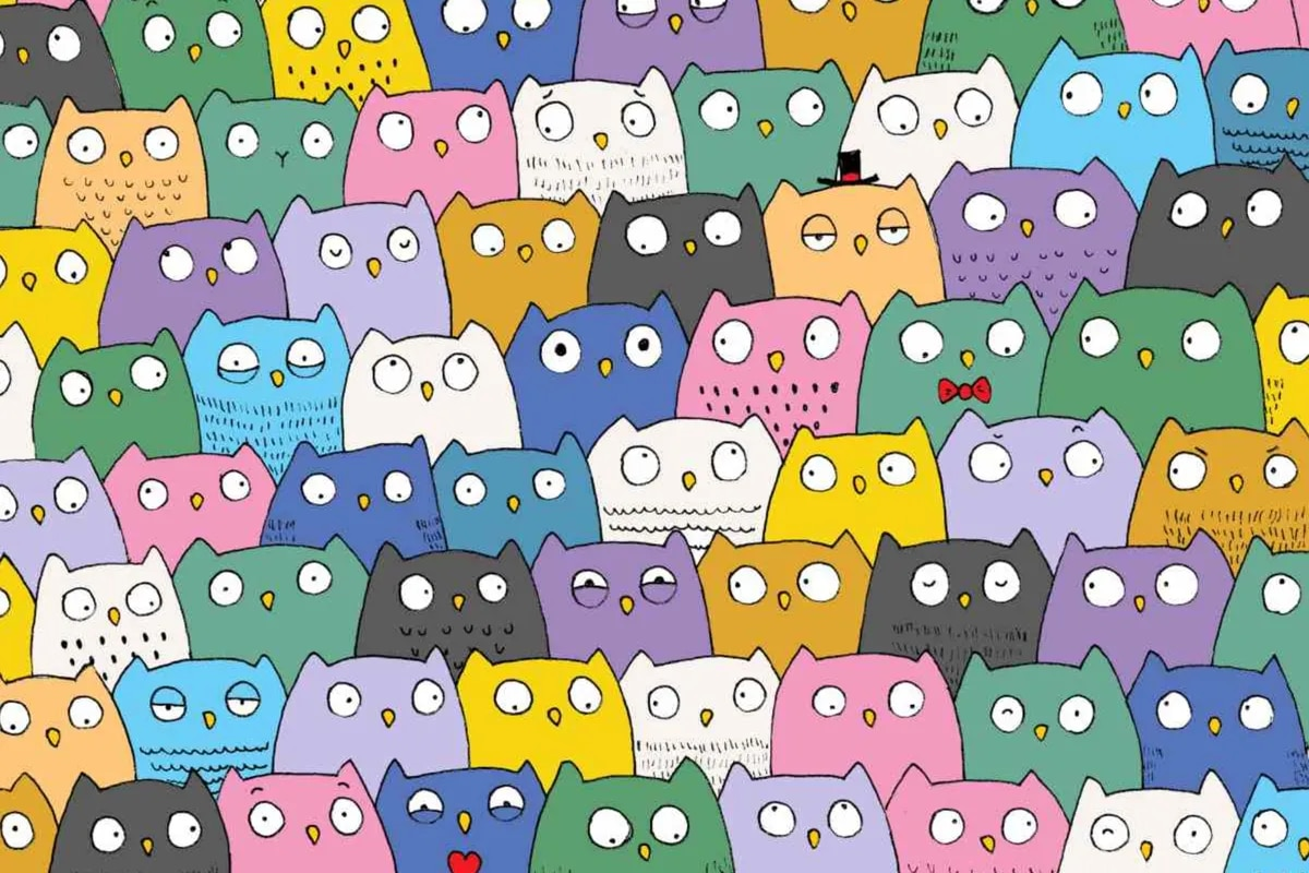 Desafío visual: ¿podés encontrar el gato escondido en menos de 15 segundos?