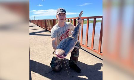 Un pescador logró sacar un surubí de 7 kilos desde el Puente Carretero sobre el río Salado. Un pescador logró sacar un surubí de 7 kilos desde el Puente Carretero sobre el río Salado.