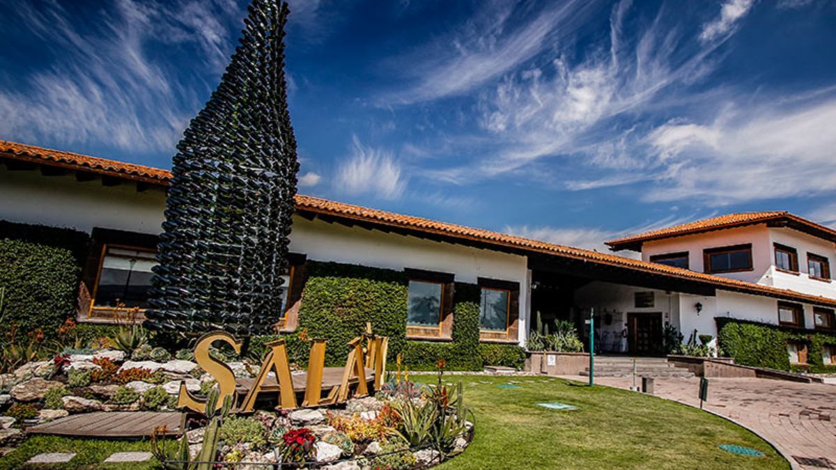 Escapada a los mejores viñedos de Ciudad de México, perfecto para disfrutar en familia. Escapada a los mejores viñedos de Ciudad de México, perfecto para disfrutar en familia.